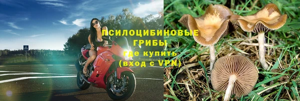 прущие крисы Алзамай