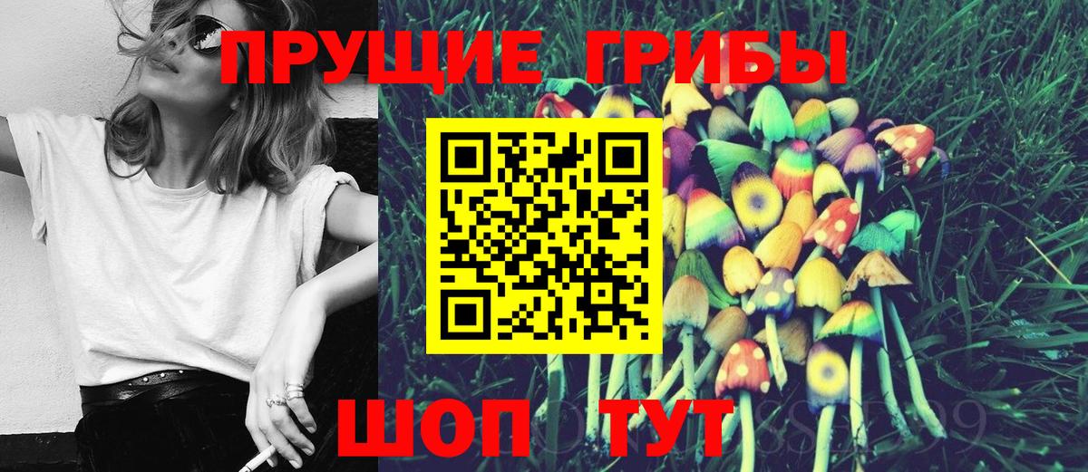 Бердск  Псилоцибиновые грибы прущие грибы  Вход с VPN 